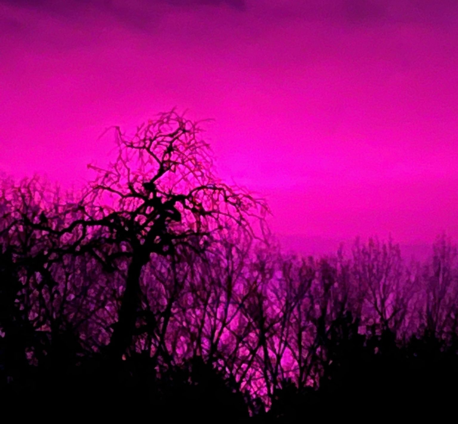 Knallrosa Himmel mitten in der Nacht – was war da los in Belgien?