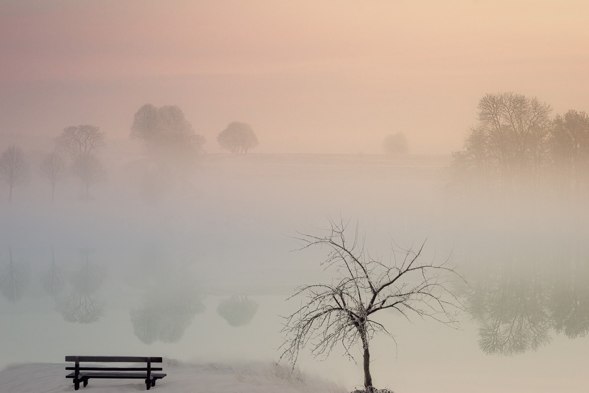 Wetter der kommenden Woche: Regen, Schnee in den Bergen und im Flachland, starker Wind…