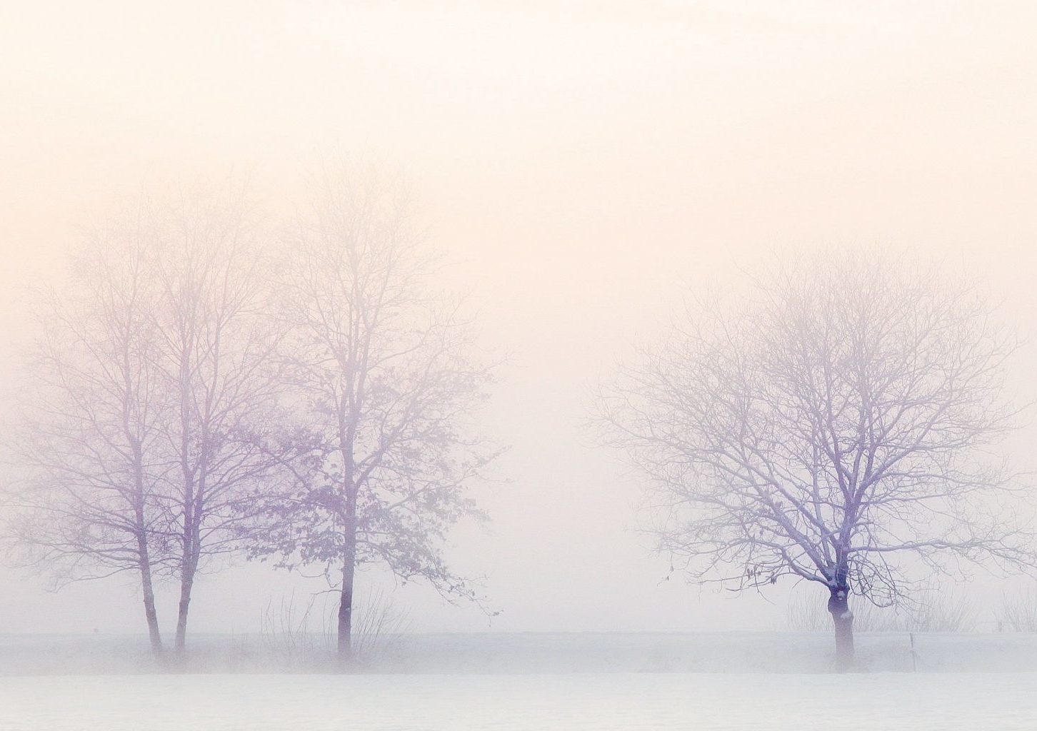 Winter_Schnee_Kälte