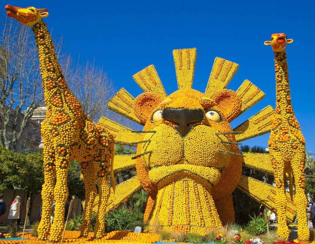 Die Zitronenfestspiele: Menton bereitet sich auf ein leuchtendes Spektakel vor