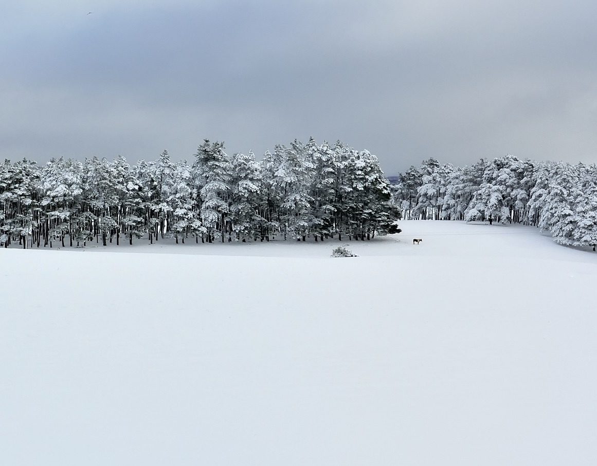 Schnee_Pyrenäen