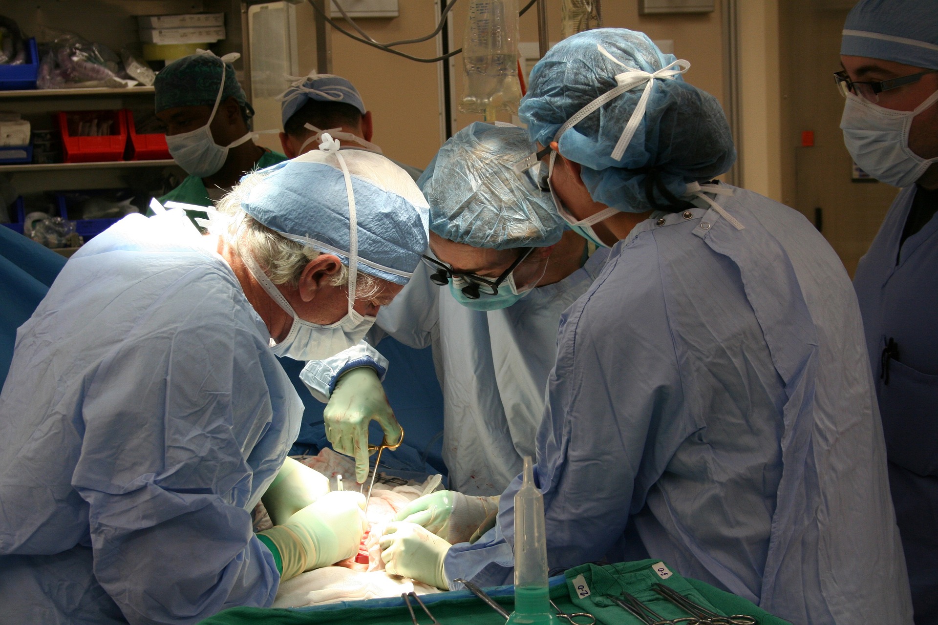 Frankreich: Zahl der Organspenden hat noch nicht das Niveau von vor der Covid-Pandemie erreicht