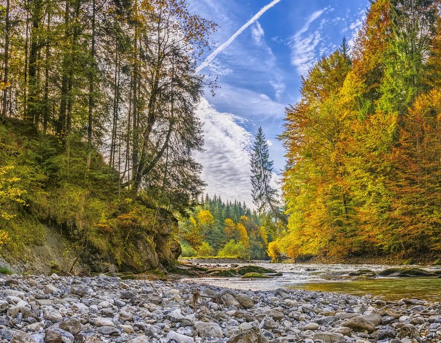 Frankreich: Forellenfischer besorgt über niedrige Wasserstände in Bächen und  Flüssen