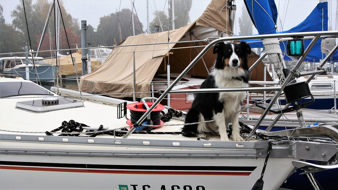 Neue Ideen: Unternehmen baut Segelboote zu Camping-Bungalows um