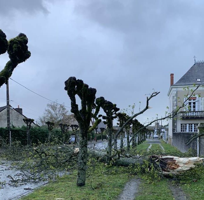 Frankreich: Sturm Mathis fordert zwei Todesopfer in der Region Grand Est