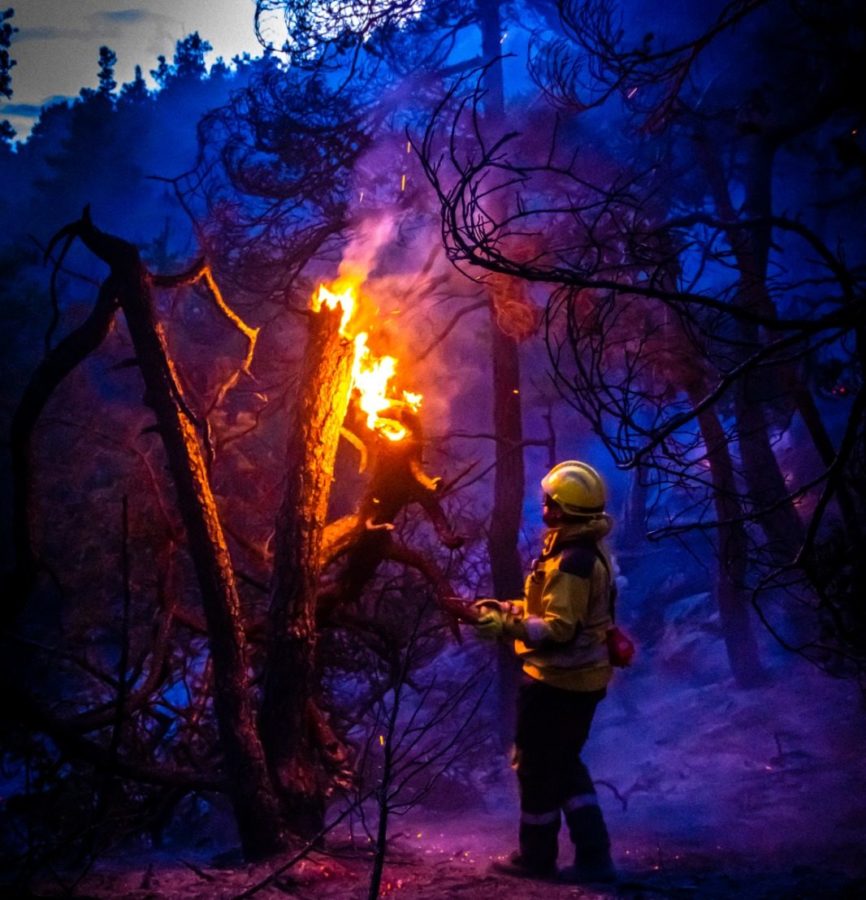Waldbrand_06
