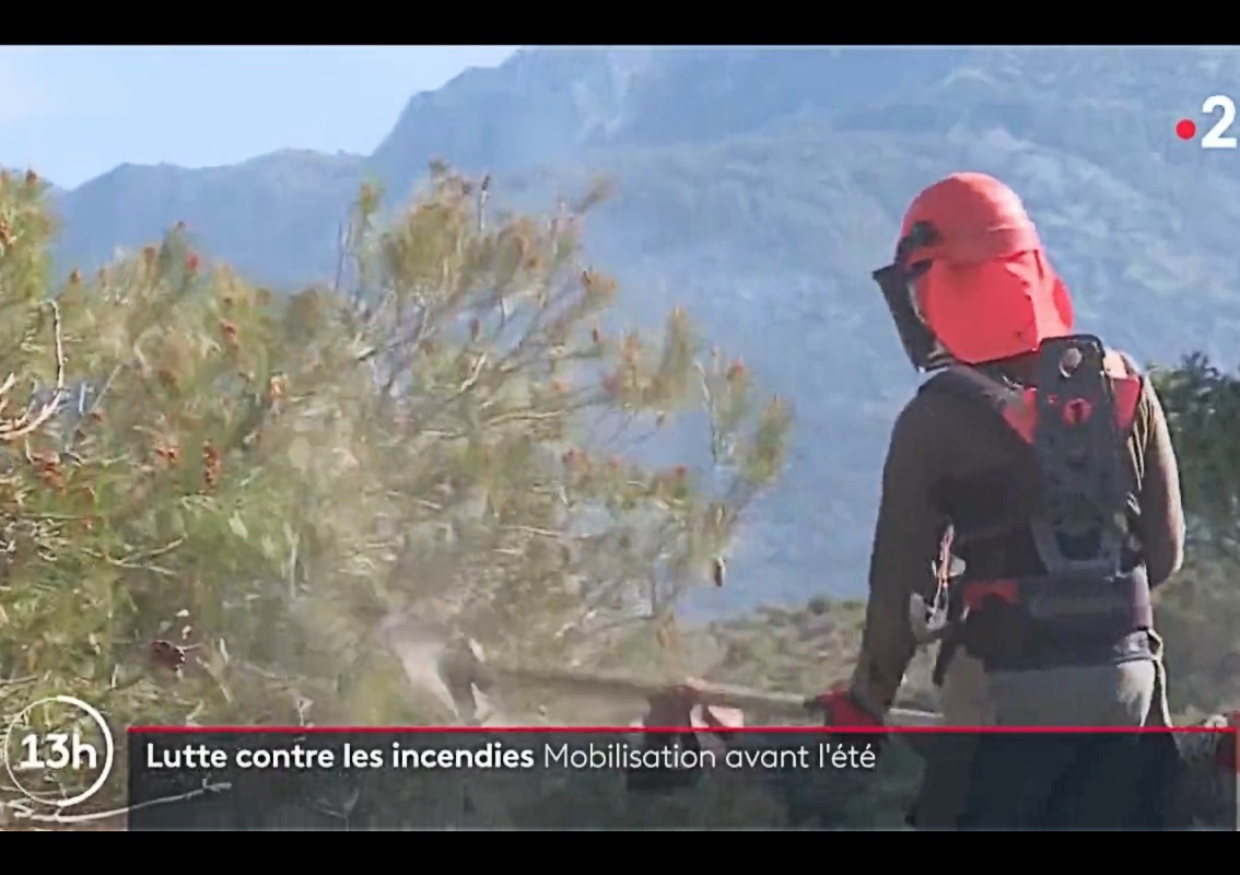 Waldbrände: Die Bewohner der Alpes-Maritimes bereiten sich auf den Sommer vor