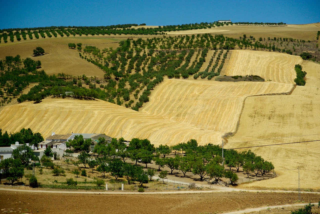 Ungewöhnliche Dürre in Spanien: Welche Folgen hat das für Frankreich?