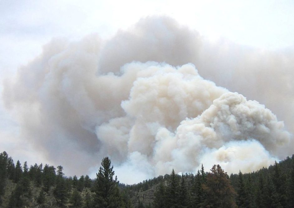 Waldbrand