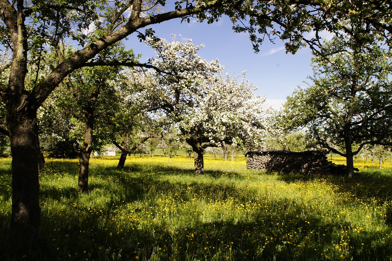 Pyrénées-Orientales: Obstbauern kämpfen mit der Dürre
