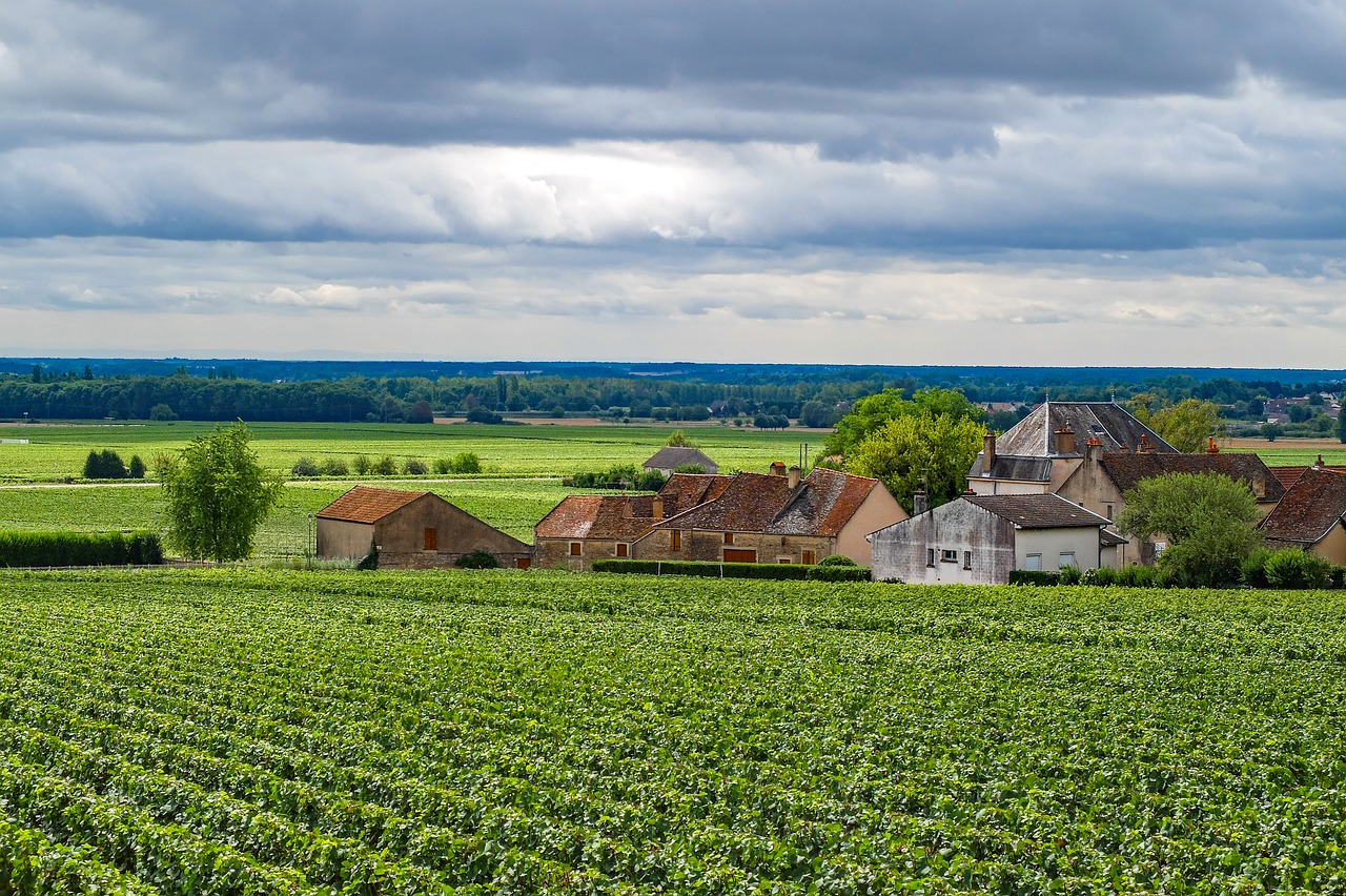 Bourgogne-Franche-Comté