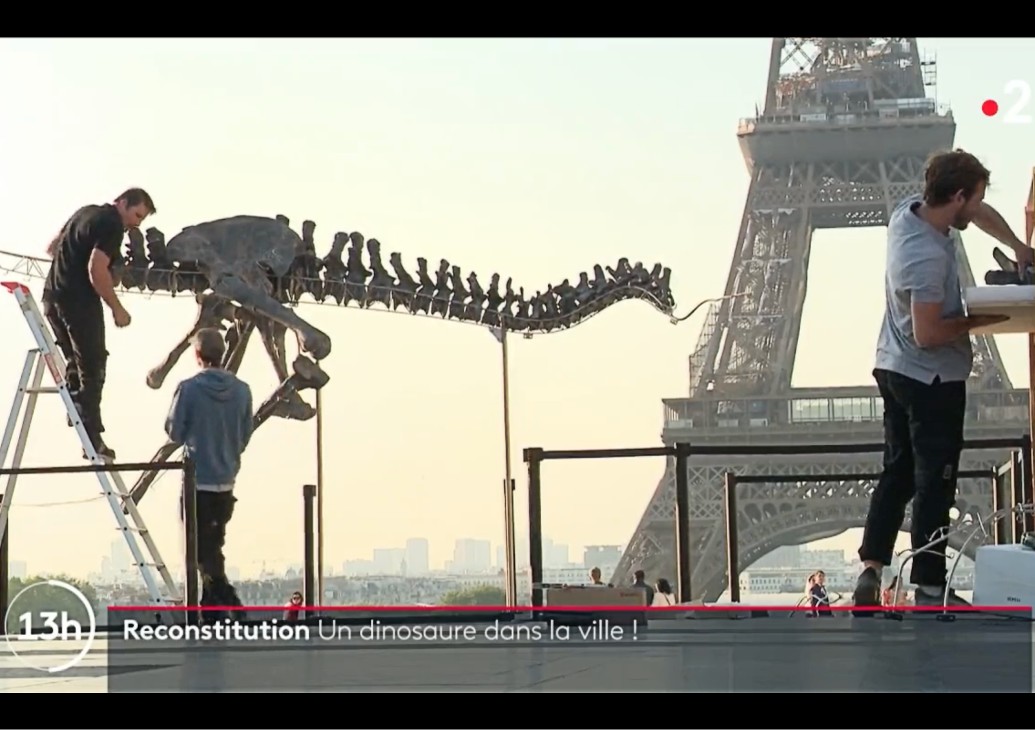 Paris: Dinosaurierskelett mitten in der Stadt ausgestellt