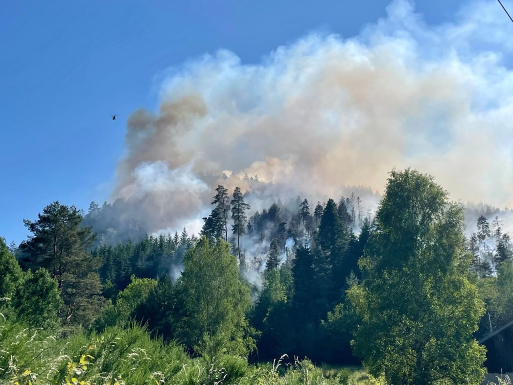 Waldbrand_bei_Epinal
