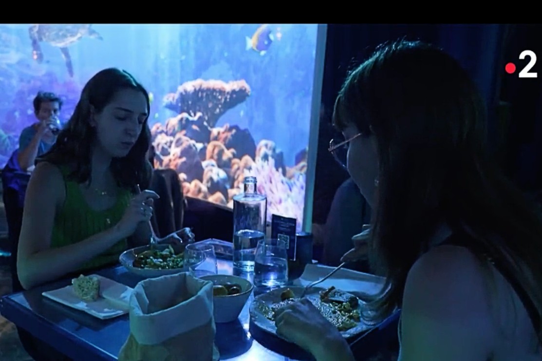 Immersive Restaurants: Das Rezept hinter dem Erfolg dieses Konzepts
