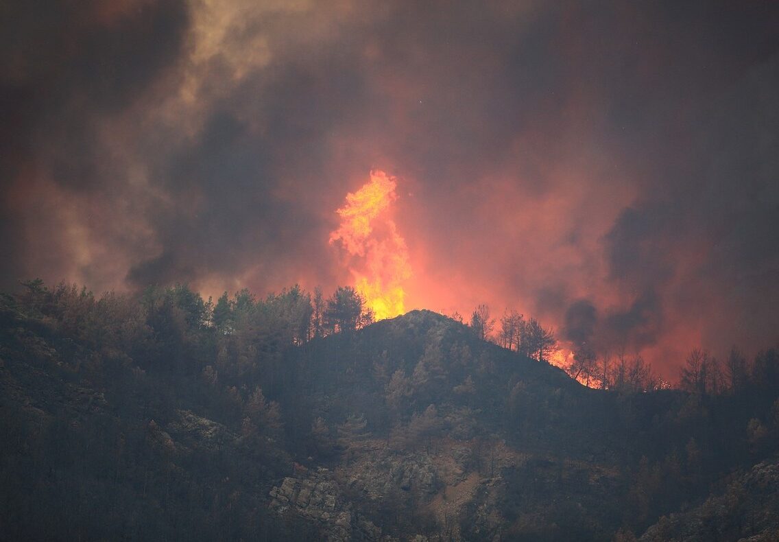 Waldbrand