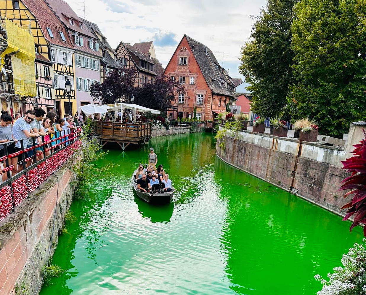 Aktivisten von Extinction Rebellion färben einen Fluss bei Colmar grün – sind dabei Fische getötet worden?