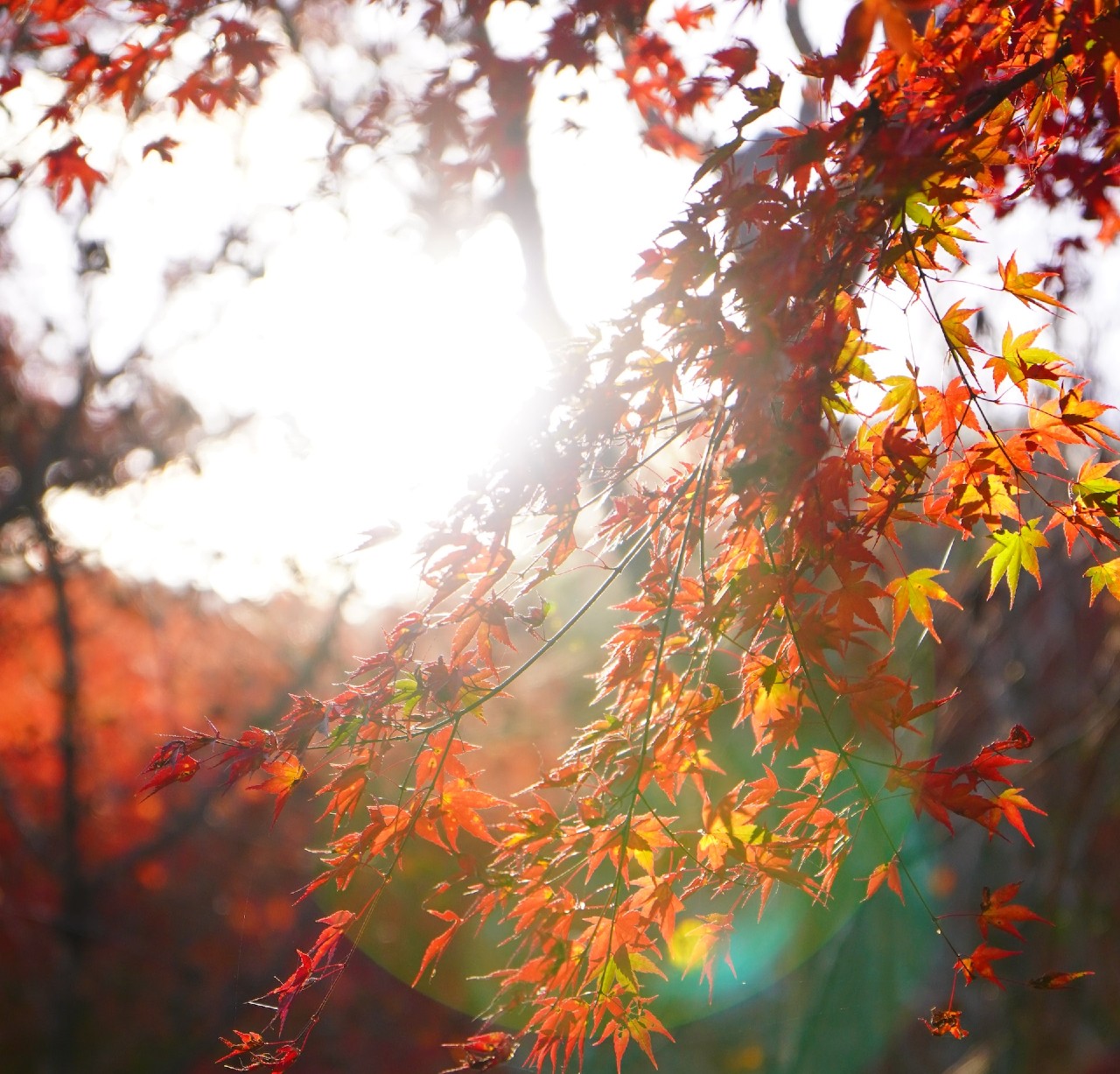 Herbstbeginn