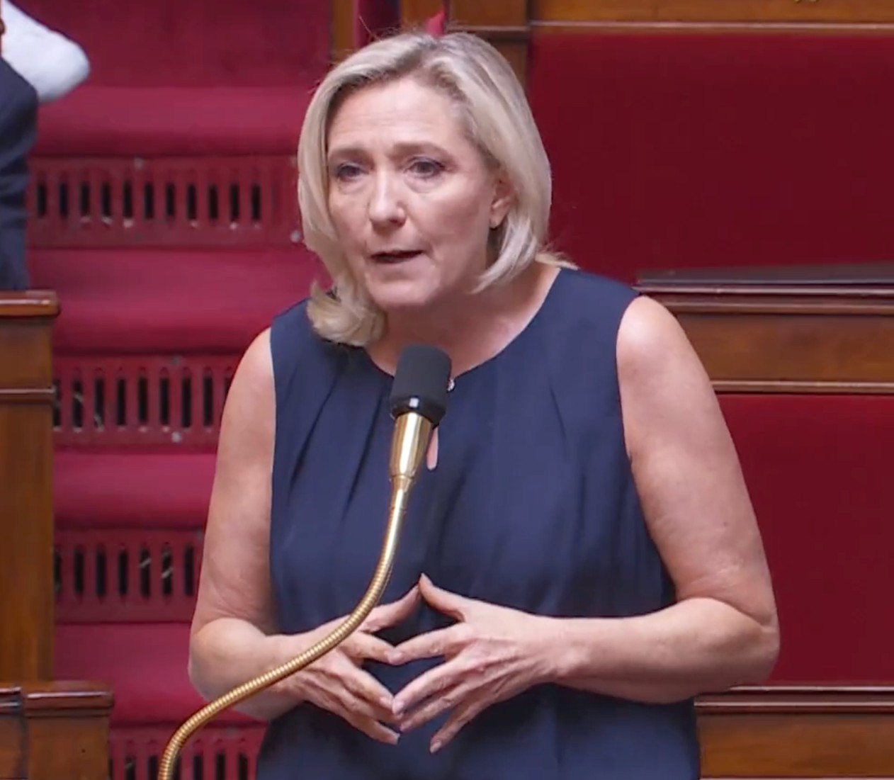 Marine_Le_Pen_ScreenX