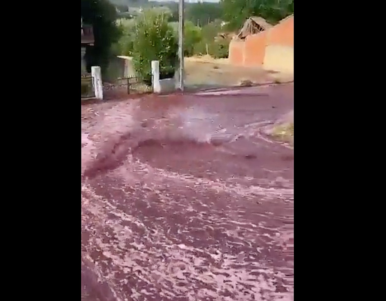 VIDEO: Ein Dorf in Portugal wird überflutet – von Rotwein