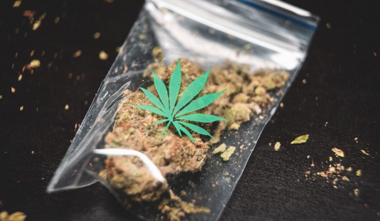 Cannabis
