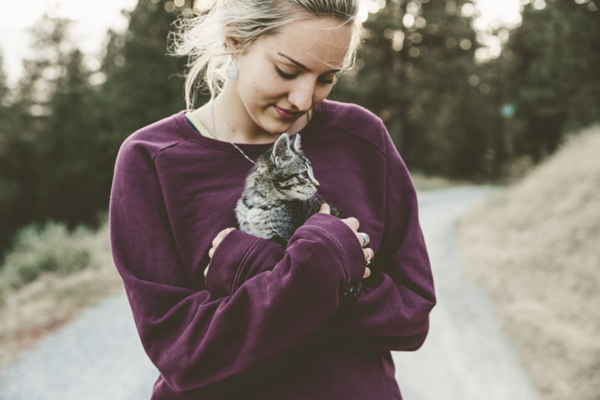 Katze_Allergie