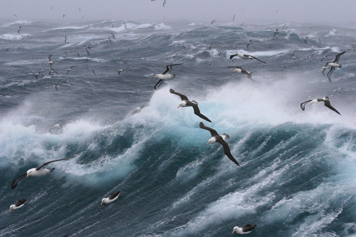 Sturm_Wellen
