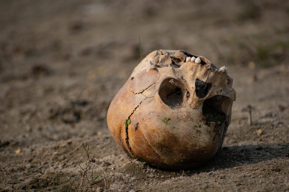 Journalisten entdecken menschlichen Schädel auf einem Strand in der Bretagne