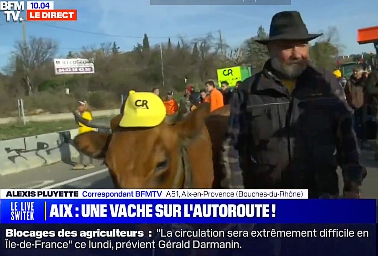 Bauernproteste_Kuh_Autobahn_ScreenBFMTV