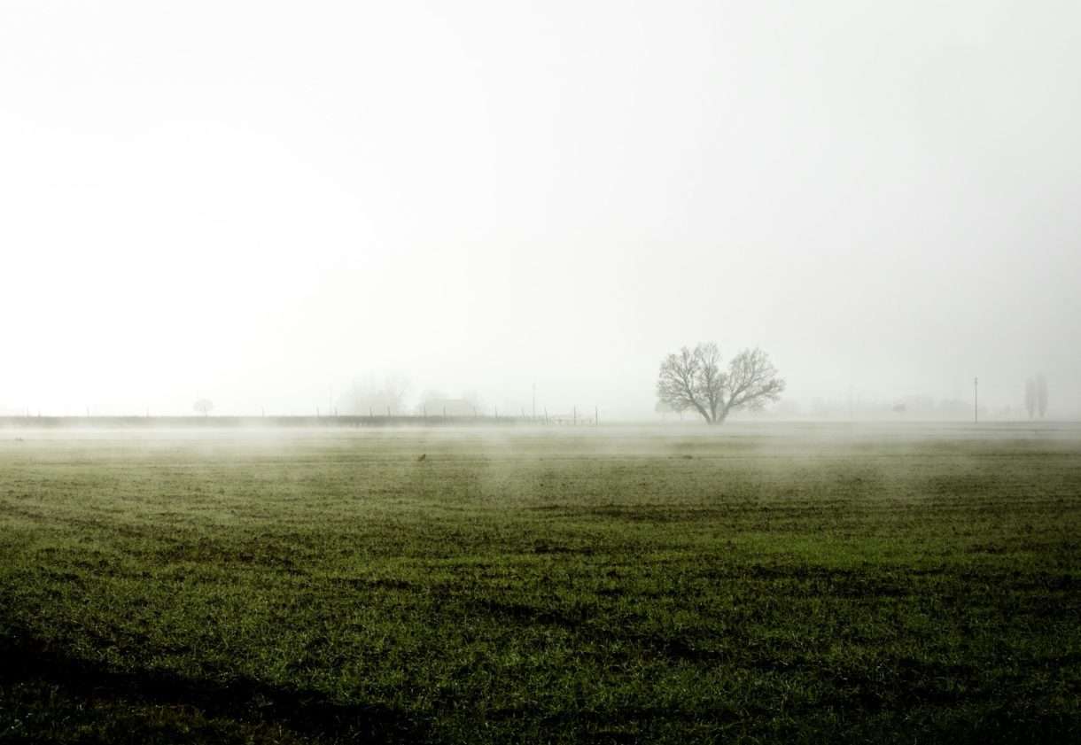 Winter_ohne_Schnee