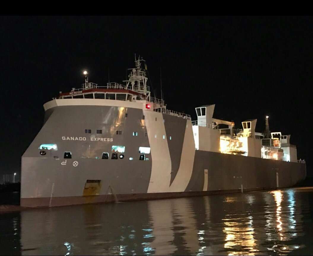 An den Stränden der Bretagne werden tote Rinder angespült