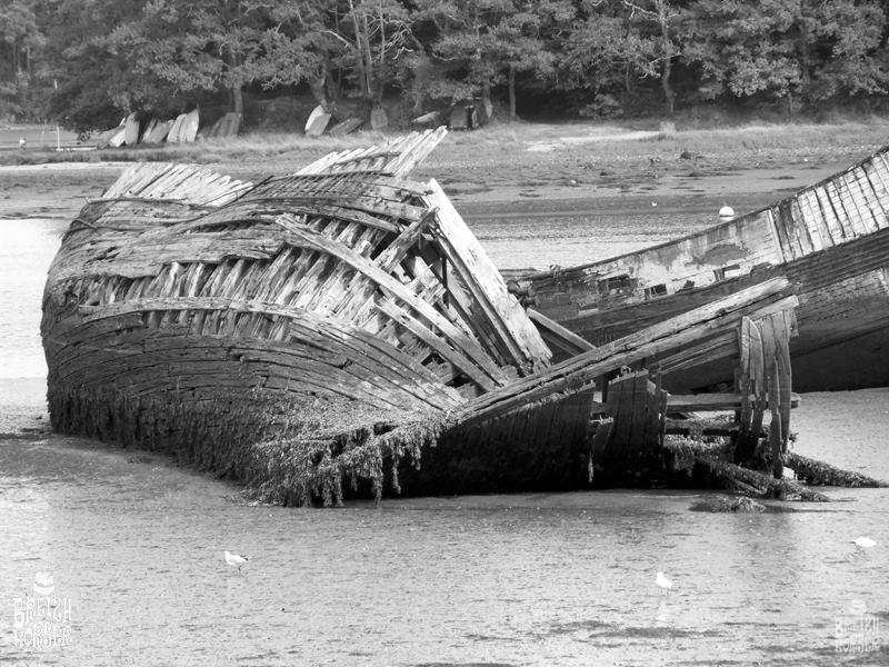 Rettung aus dem Schlick: Touristin in der Bretagne entkommt knapp dem Tod