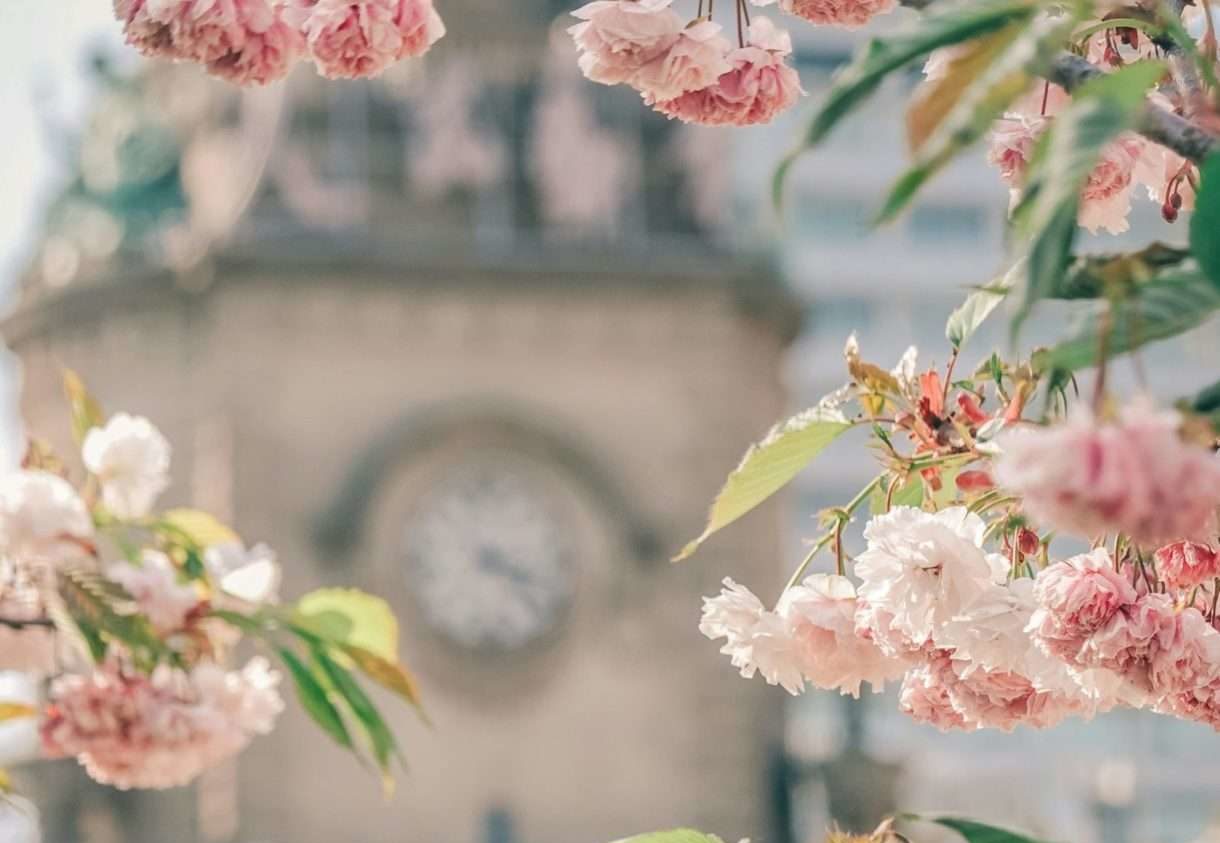 Frühling