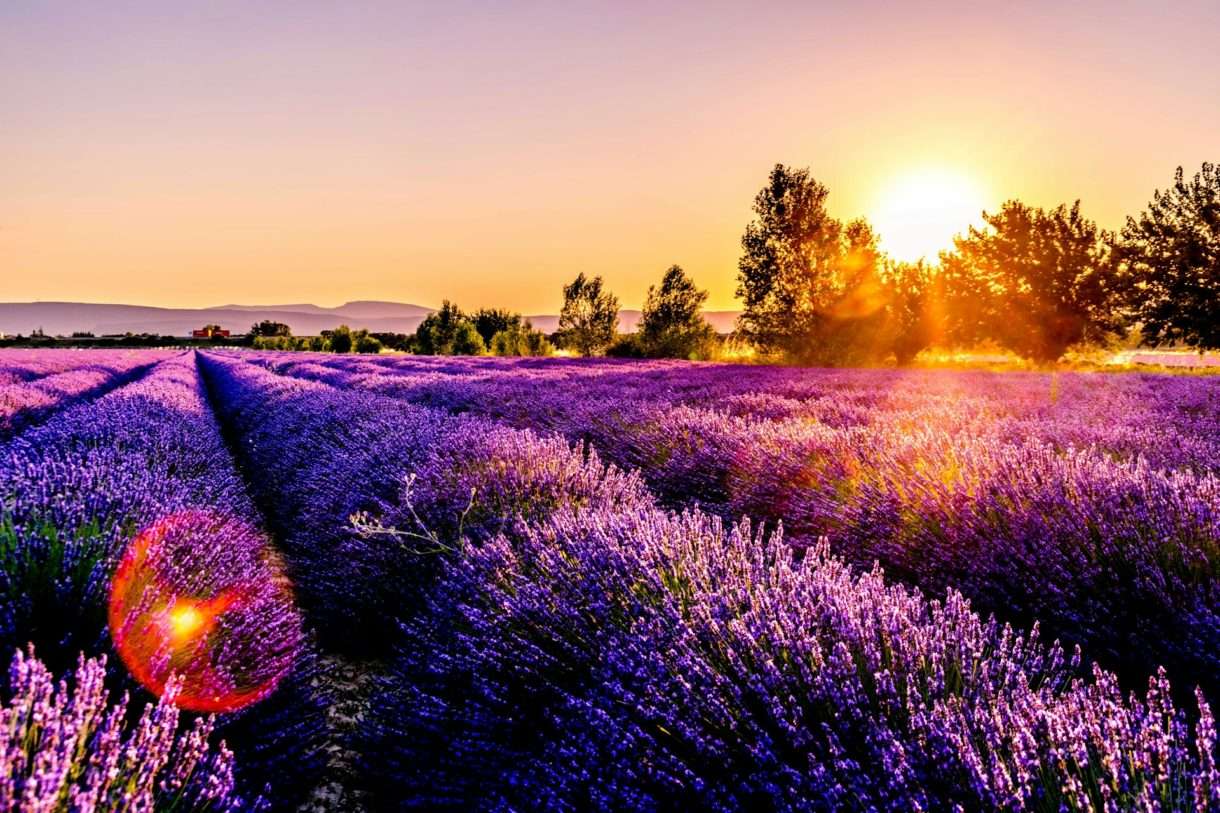 Provence_Sonnenuntergang