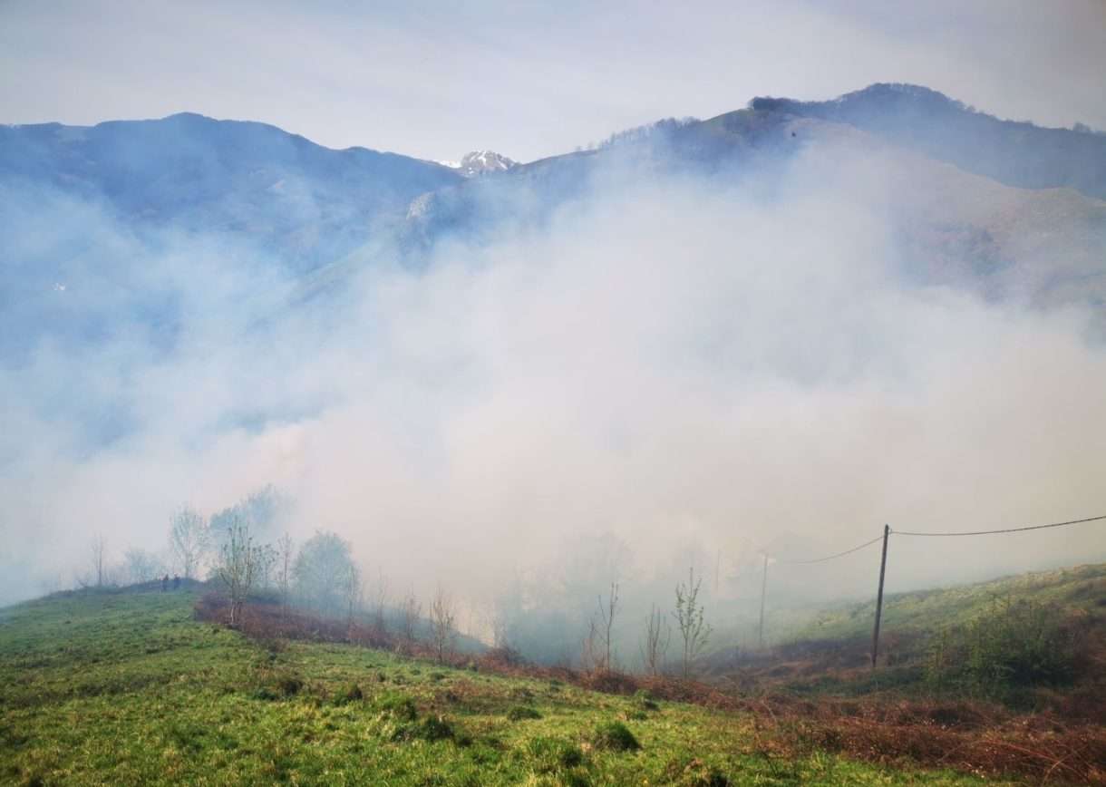 Waldbrand_Larrau