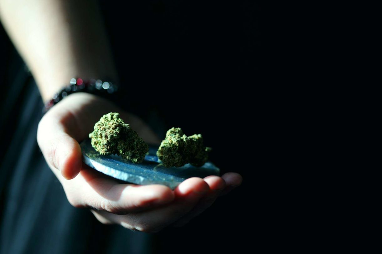 Cannabis_Marihuana