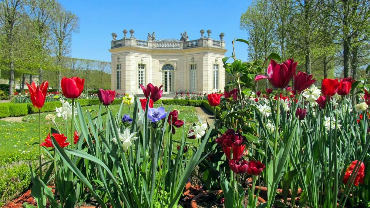 Frühling_Versailles