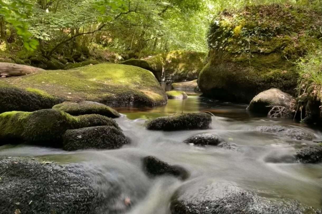 Verborgene Wunder und Mythen – Eine Entdeckungsreise durch den Forêt de Huelgoat