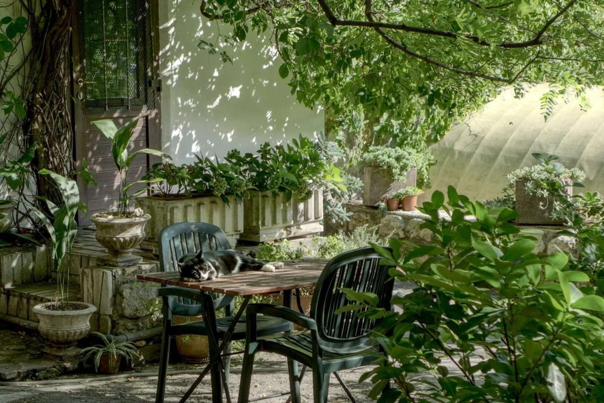Garten