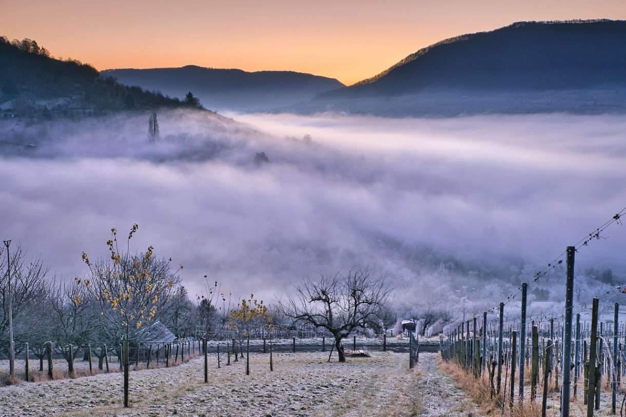 Weinberg_Frost