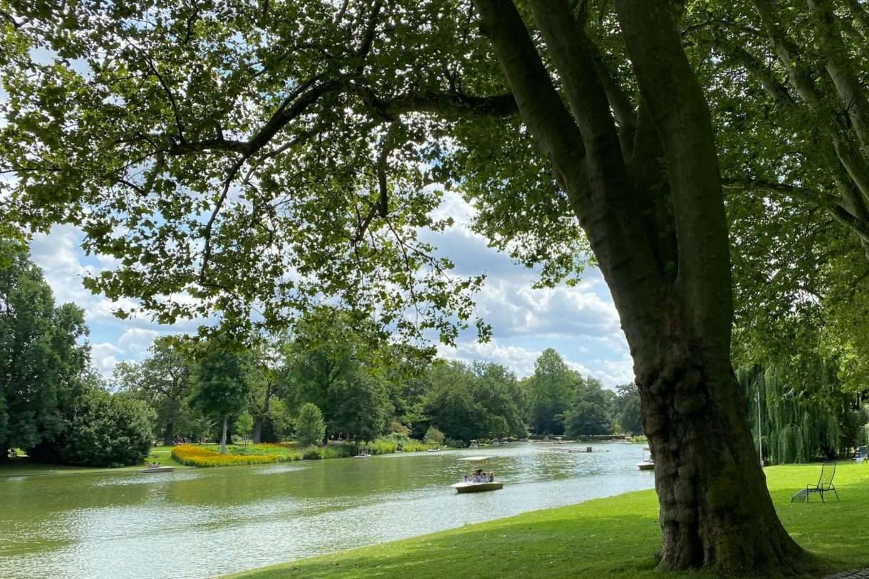 Ein Ansatz, zwei Wege: Der europaweite Tag der Parks