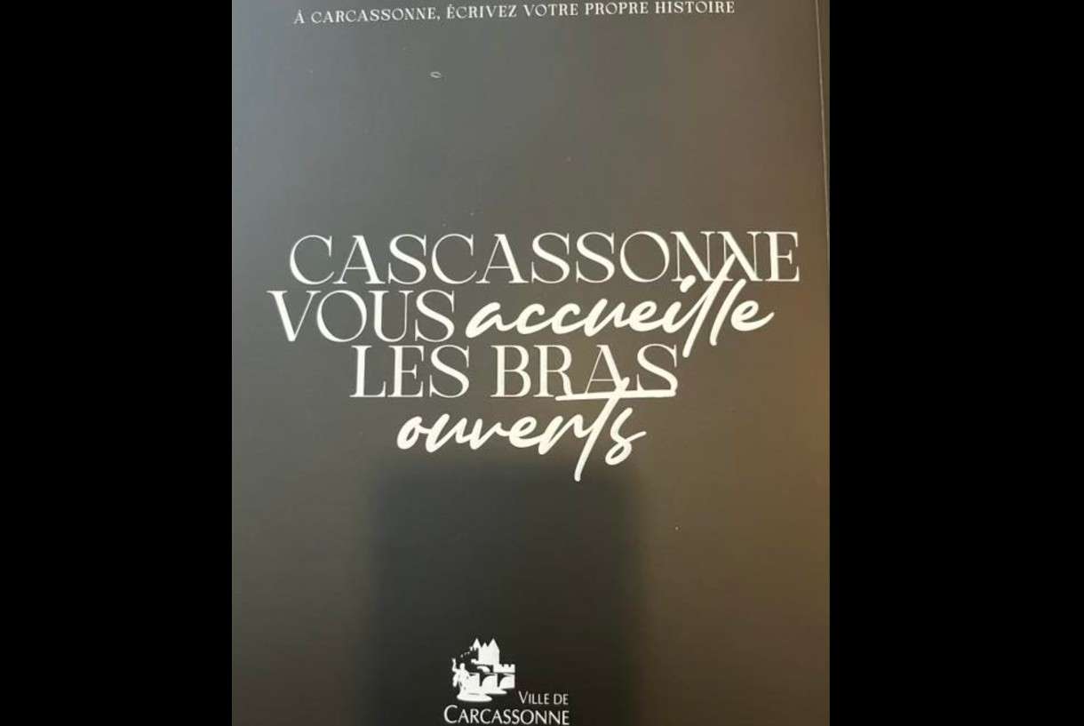 carcassonne_Screibfehler_ScreenFB