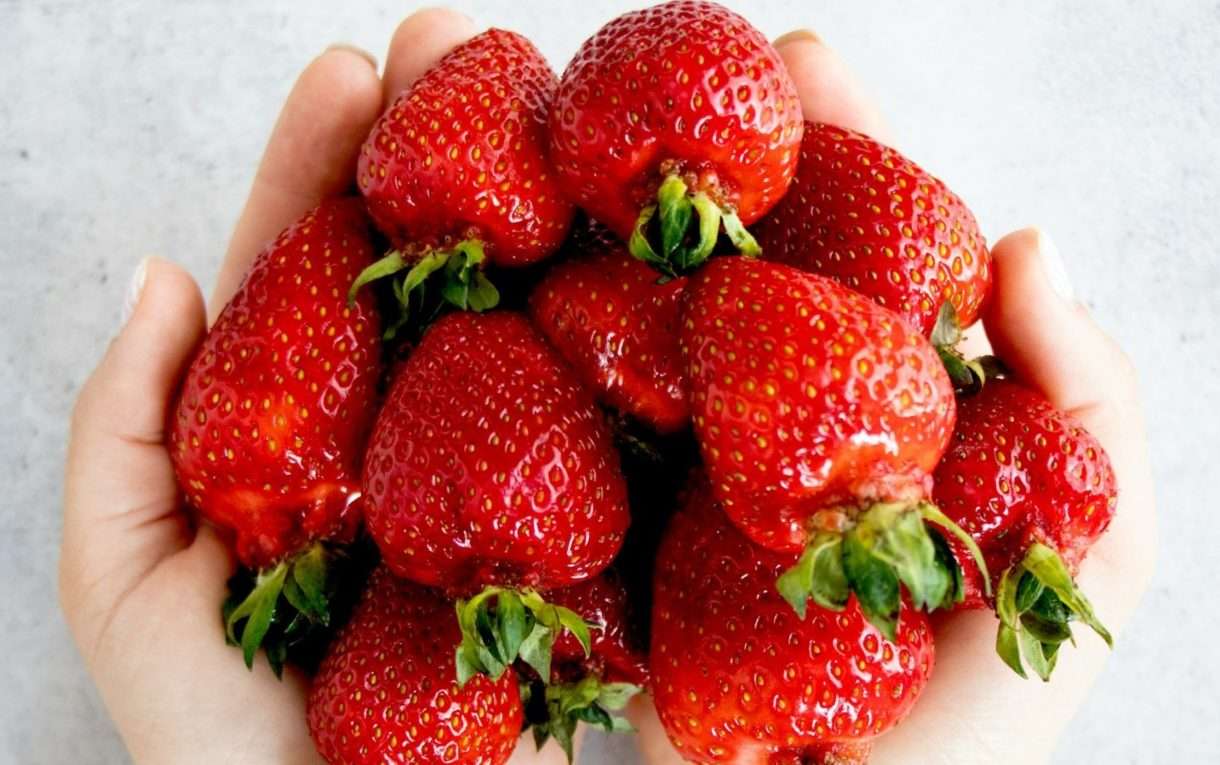 Erdbeeren