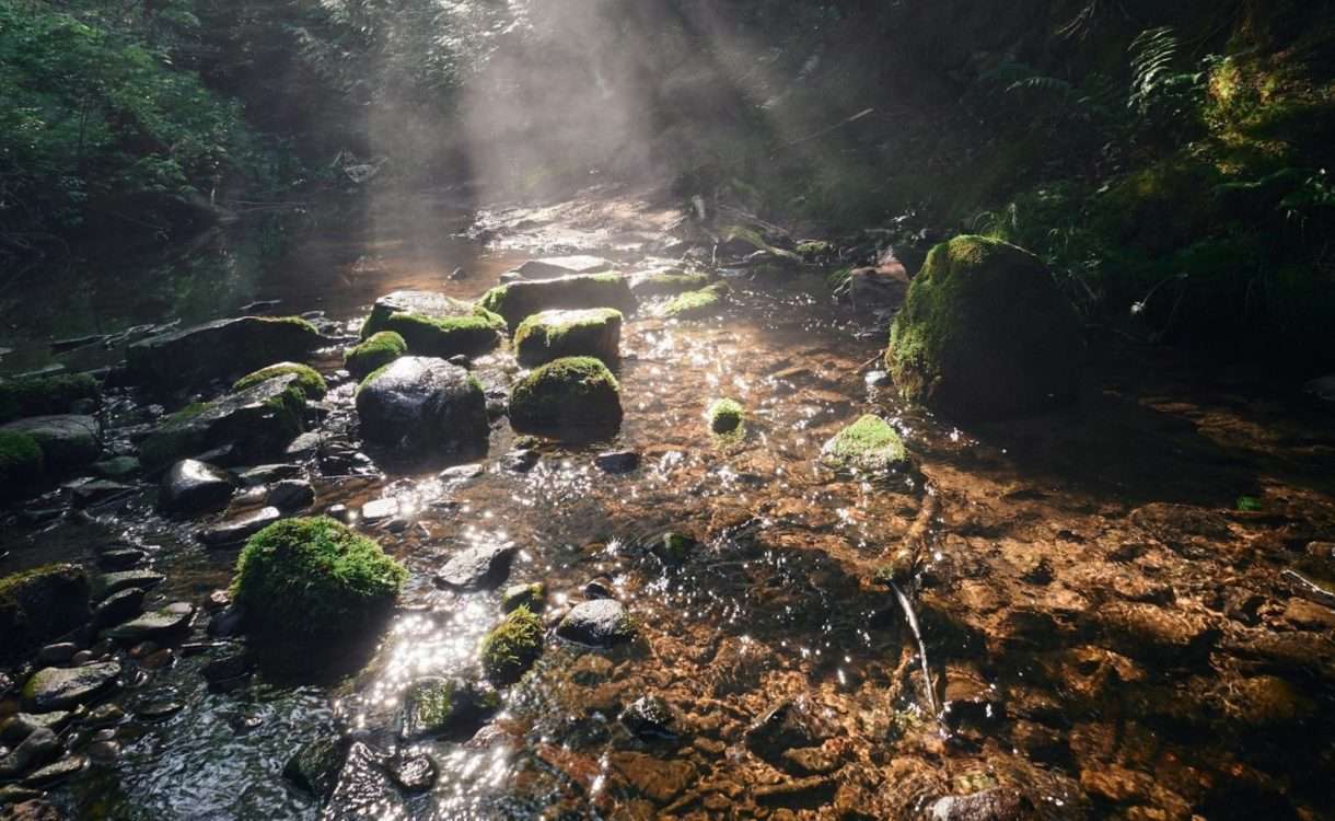 Wasser in Not: Wie Europa sein blaues Herz verliert