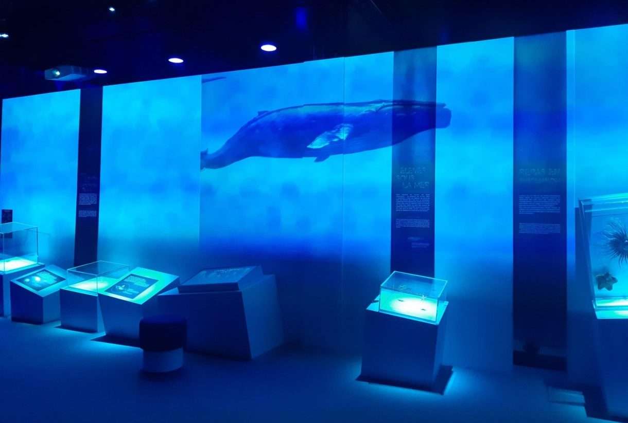 Ausstellung_Ocean
