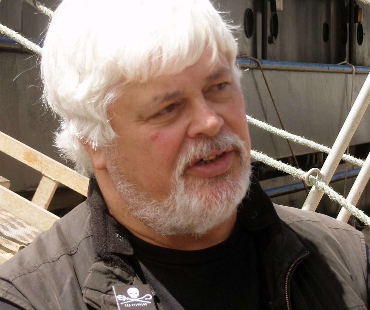 Paul Watson: Kampf gegen den Walfang in Island geht weiter