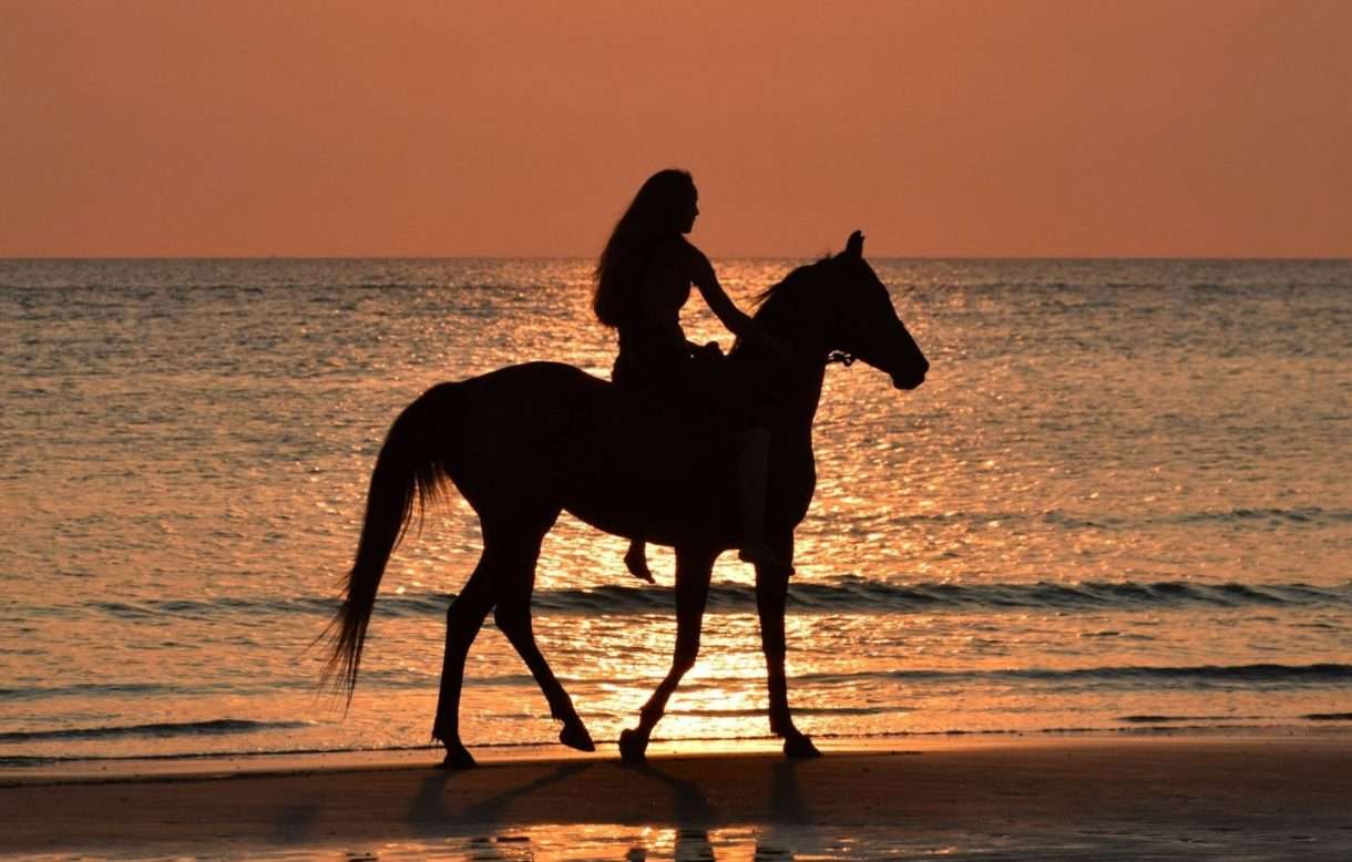 Reiten_Sonnenuntergang