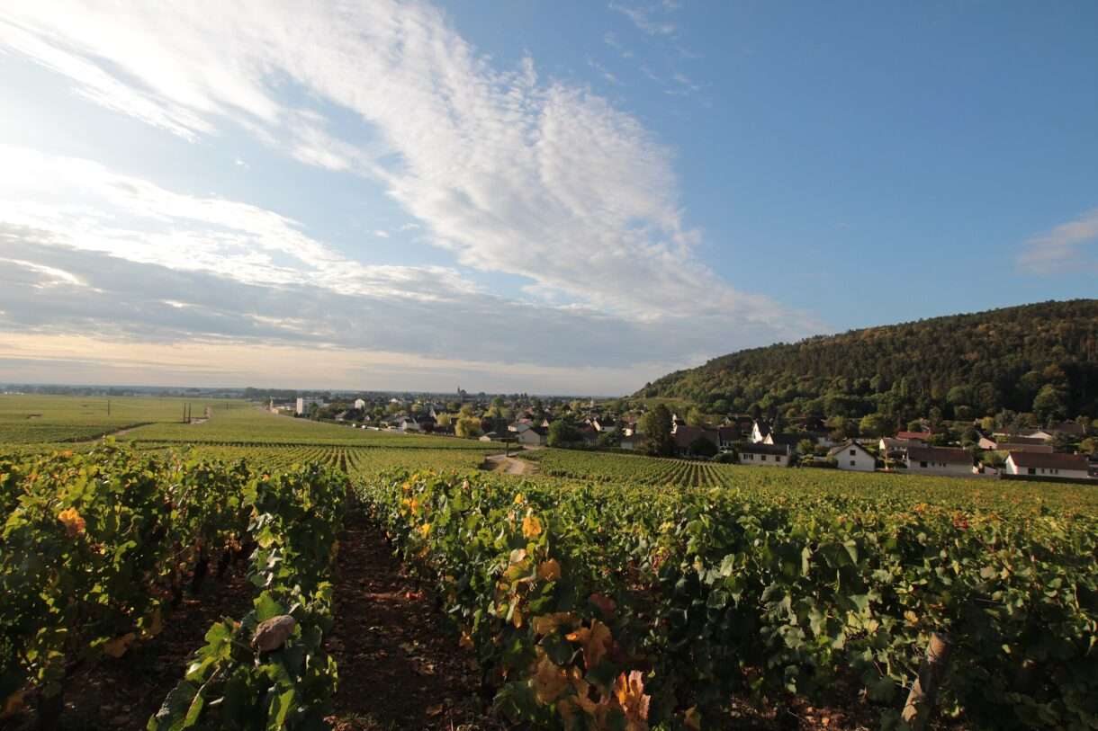 Nuits-Saint-Georges: Ein Spaziergang durch das Herz der Côte d’Or