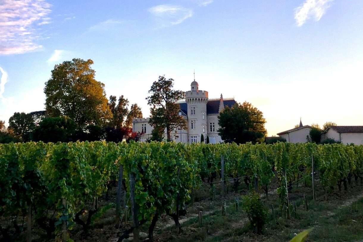 Pessac: Ein Spaziergang durch Weinberge, Architektur und Geschichte