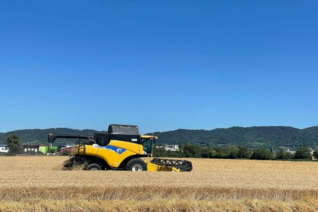Landwirtschaft in der Krise: Schlechte Ernte und sinkende Weinerträge