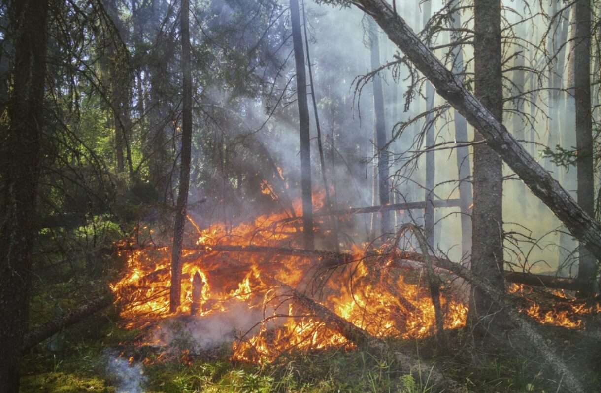 Brandgefahr_Waldbrand
